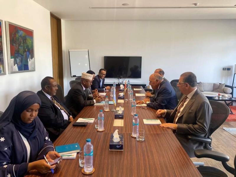 وزير الخارجية يستقبل نظيره الصومالي