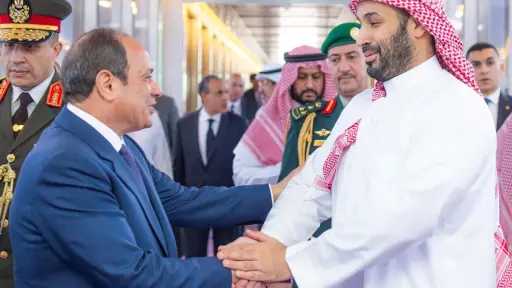 الأمين العام لرابطة الجامعات الإسلامية: مصر والسعودية جناحا الأمن والاستقرار.. ولا عزاء لدعاة الفتنة