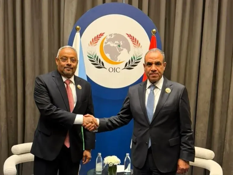 وزير الخارجية يلتقي نظيره الجيبوتي ويبحثان سبل تعزيز العلاقات الثنائية والتطورات الإقليمية
