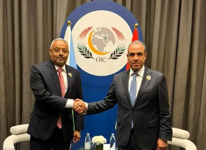 وزير الخارجية يلتقي نظيره الجيبوتي ويبحثان سبل تعزيز العلاقات الثنائية والتطورات الإقليمية